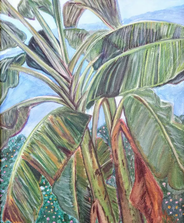 El platanal, pintura de Myrna Cleghorn
